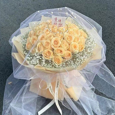 池州52朵香槟玫瑰满天星，你就是我的全部