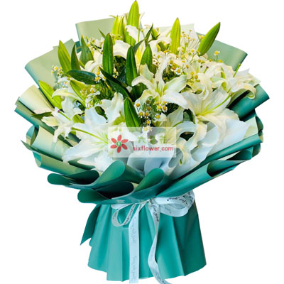 池州8支白色多头百合洋甘菊，如潮的思念