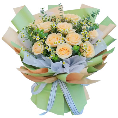 池州11朵香槟玫瑰洋甘菊，爱温暖幸福